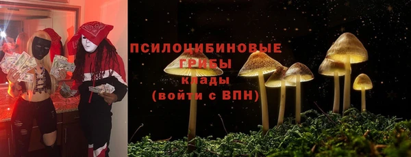 PSILOCYBIN Иннополис